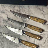 Interstellar Series Steak Knife Set