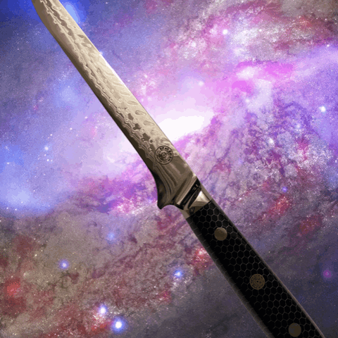 Interstellar Boning Knife