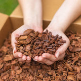 Smokin' Pecan 100% Pecan Shell BBQ Pellets | All-Natural Pellet Grill Fuel